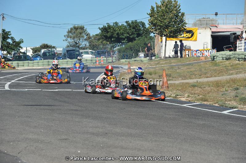 DSC (2650).JPG